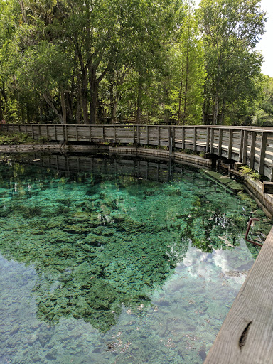 Nature Preserve «Crystal Springs Preserve», reviews and photos, 1609 Crystal Springs Rd, Crystal Springs, FL 33524, USA