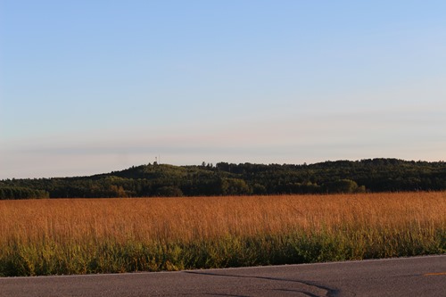 Crp Land and The Tower