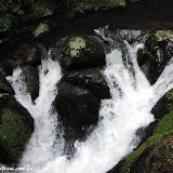 Trilha para cachoeiras - San Gerardo de Dota, Costa Rica