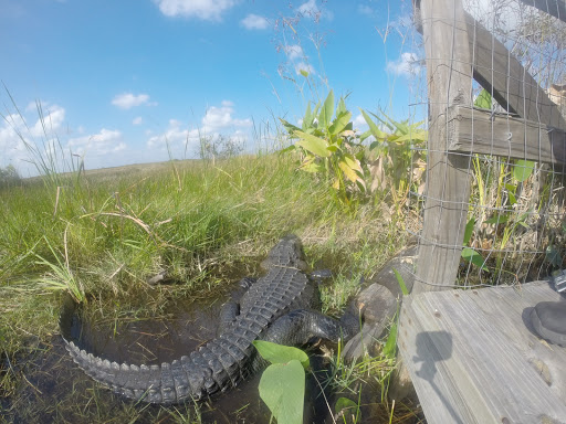 Tourist Attraction «Miccosukee Indian Village», reviews and photos, 500 US-41, Miami, FL 33194, USA