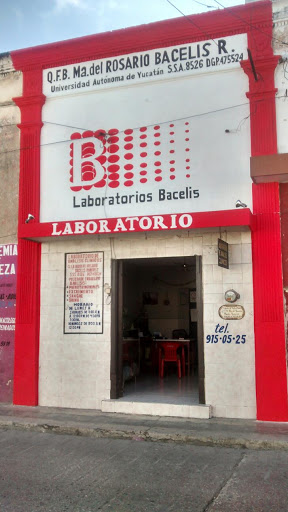 Laboratorios Bacelis, C. 26 #292-a x 27 y 25, San Juan, 97430 Yuc., México, Laboratorio | YUC