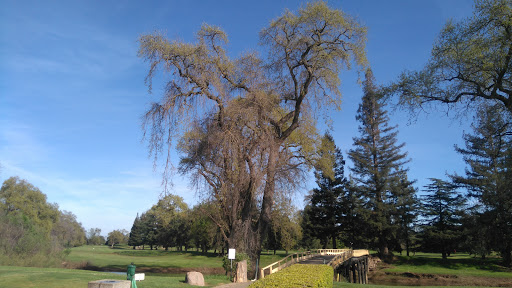 Golf Course «Dry Creek Ranch Golf Course», reviews and photos, 809 Crystal Way, Galt, CA 95632, USA