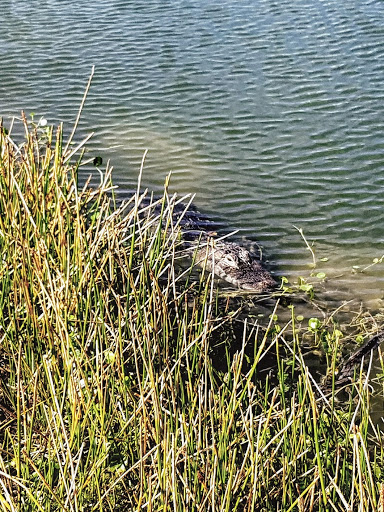 Golf Club «The Preserve Golf Club», reviews and photos, 7310 Tara Preserve Ln, Bradenton, FL 34203, USA