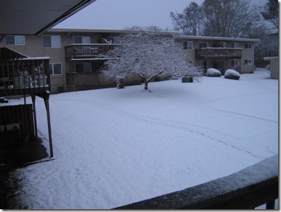IMG_4740 Snow in Milwaukie, Oregon on December 14, 2008