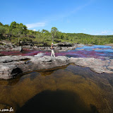 Caño Cristales - La  Macarena, Colômbia