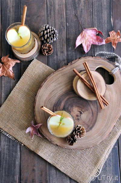 Come check out how to make this Apple Harvest Cocktail.  An easy and delightful cocktail that's perfect for Fall.  http://uTry.it