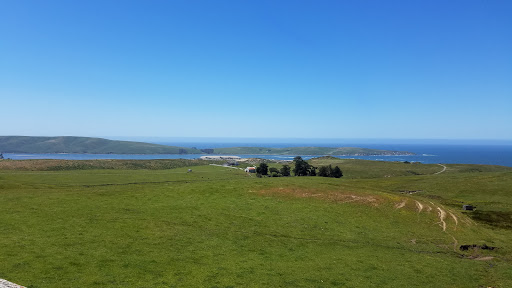 Nature Preserve «Elephant Rock», reviews and photos, 2997-3261 Dillon Beach Rd, Tomales, CA 94971, USA