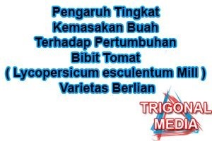 Pengaruh Tingkat Kemasakan Buah Terhadap Pertumbuhan Bibit Tomat ( Lycopersicum esculentum Mill ) Varietas Berlian