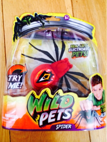 Wild Pets Spider Review