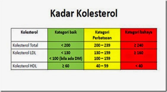 Kadar-Kolesterol-Normal-Menurut-WHO