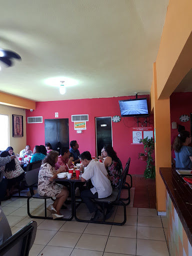 El Pollo George, Plaza Bonita, Cuauhtémoc S/N Local 16, Del Maestro, 67510 Montemorelos, N.L., México, Restaurante especializado en pollo | NL