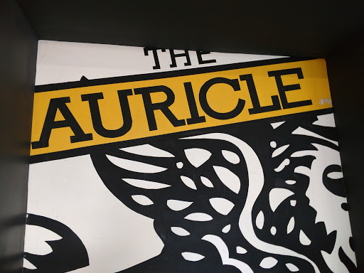 Bar «The Auricle - Bar & Venue», reviews and photos, 601 Cleveland Ave NW, Canton, OH 44702, USA