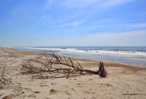 Deserted beach