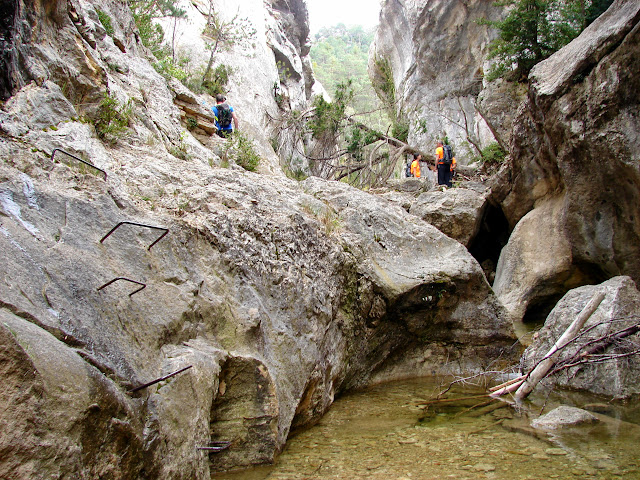 Senderismo - Coll de la Creu - Punta Boixet - Alt de la Coscollosa - Barranc de la Coscollosa