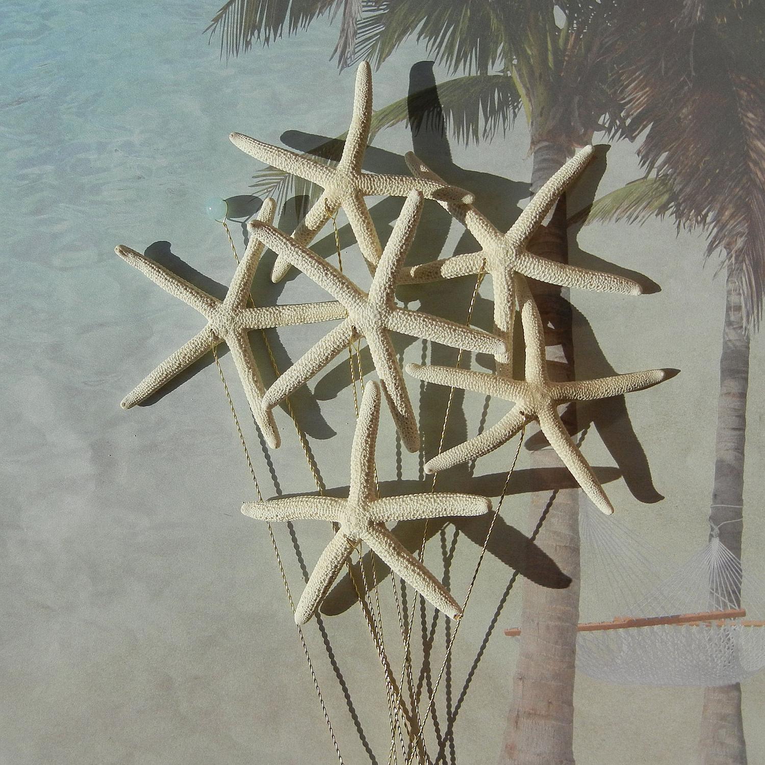 Starfish for a Wedding Bouquet or Centerpiece - 6 Natural Pencil Starfish