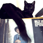 It's a little known fact that Billy Joel is allergic to cats