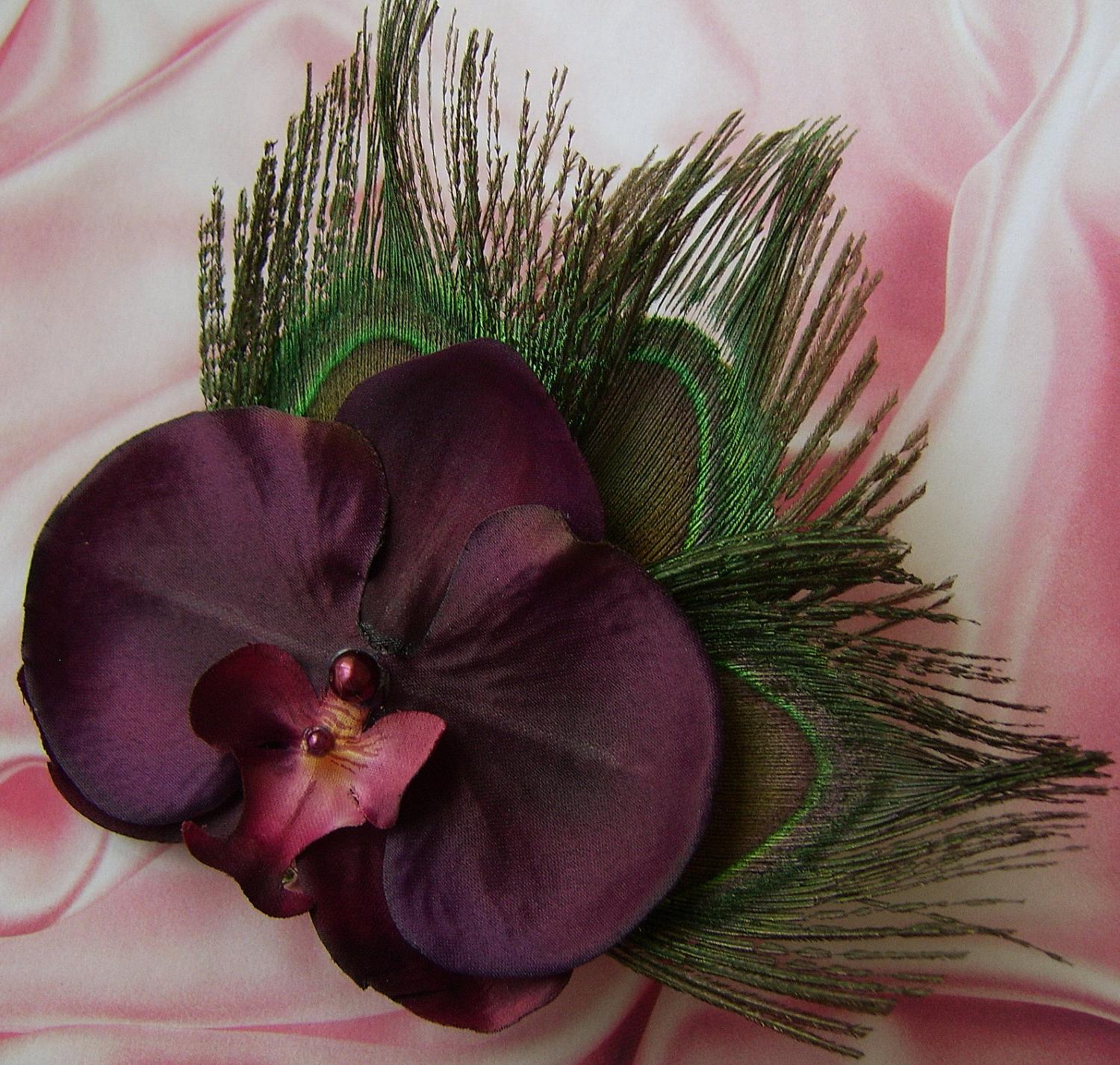 Orchid and Peacock Feather