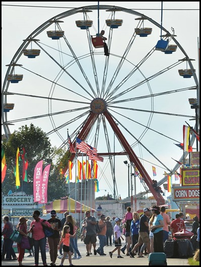 fair3