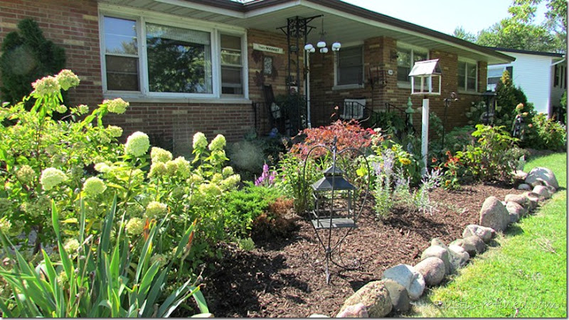 Showcasing the colors of a Fall Garden