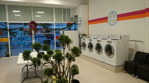 Ecoclean Tula, México 87, El Llano 2da Secc, 42820 El Llano, Hgo., México, Servicio de lavandería | HGO