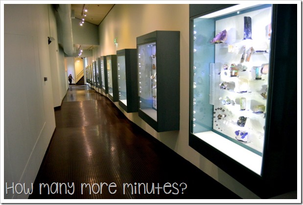 Museum & Art Galeery of the NT | How Many More Minutes?
