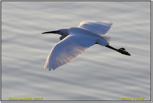 Draycote Waters - October