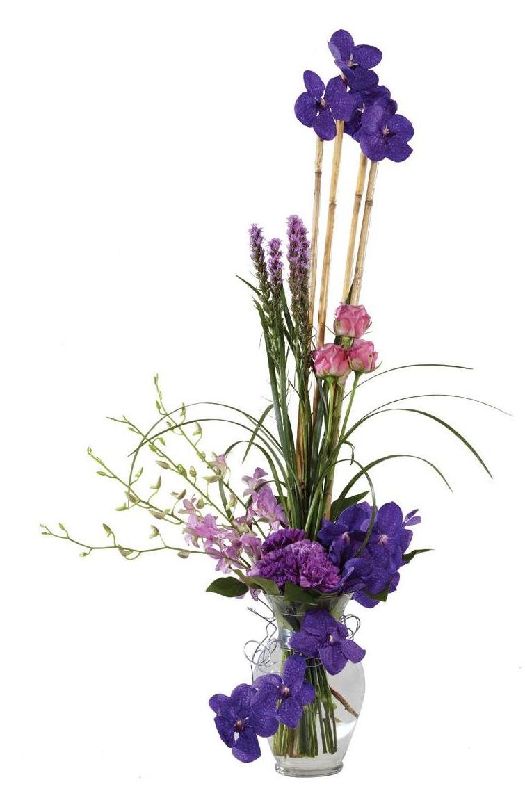 purple vanda orchids,