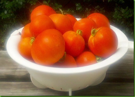 Tomato Bowl
