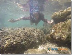 Snorkeling Pantai Nglambor Kisah Foto Blog04