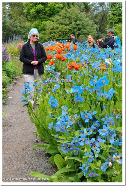 2015_Lindon_Iceland_Akureyri_021