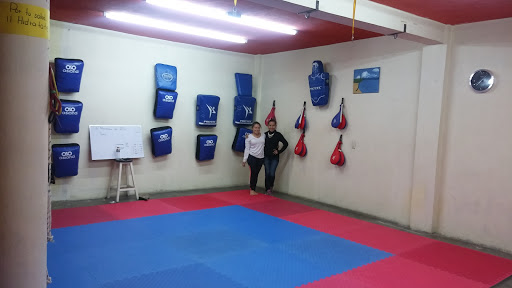 Club Lobos Taekwondo Zitacuaro, 61509, Libramiento Fco. J. Múgica 450, Vista Hermosa, Zitácuaro, Mich., México, Programa de salud y bienestar | MICH