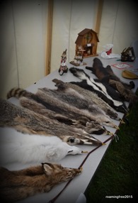 Fur display