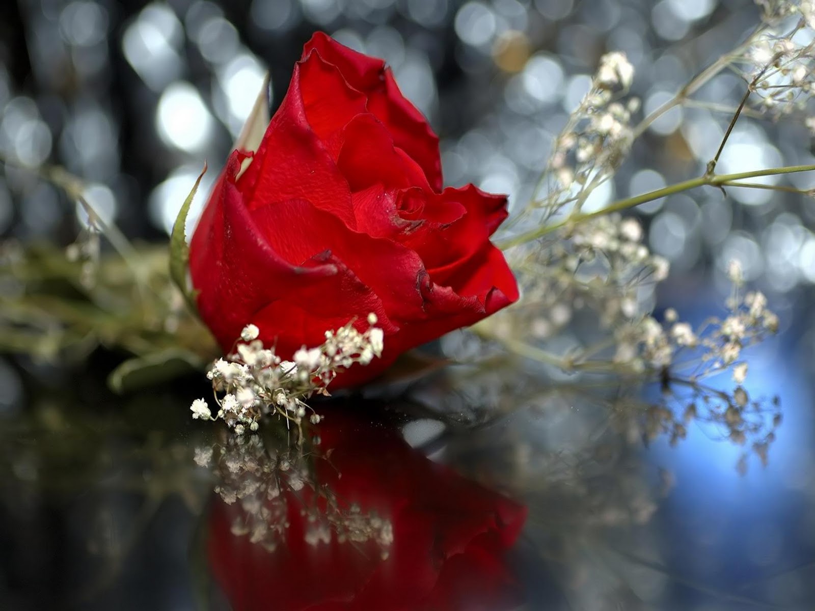 Flowers Wedding red rose