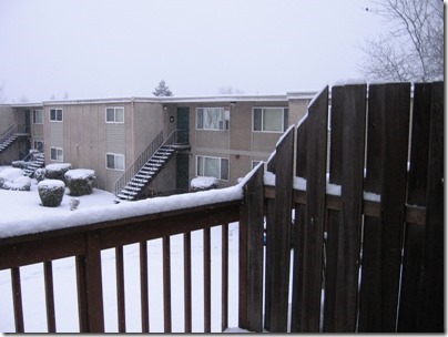 IMG_4743 Snow in Milwaukie, Oregon on December 14, 2008