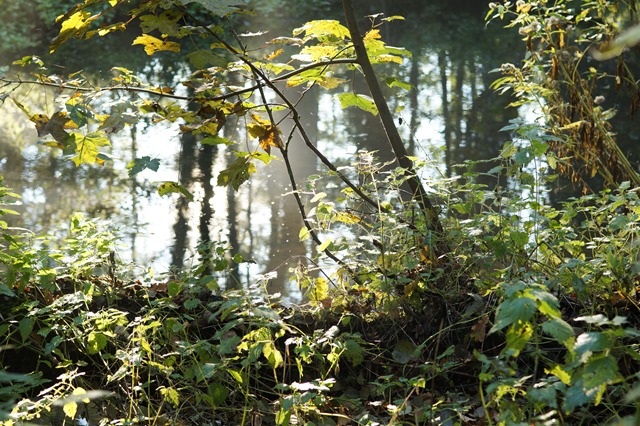 Norfolk countryside in Autumn