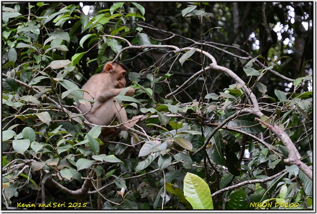 Malaysia - June