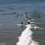 Escola de Surfe - Santa Cruz, California, EUA