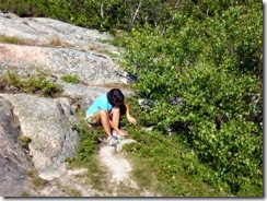 T picking blueberries at Conner's Nubble