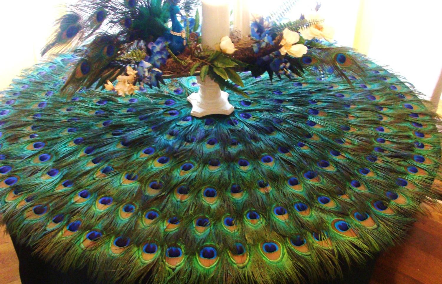 48 Peacock Feather Mat