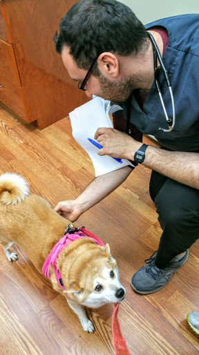 Veterinarian «4 Legged Friends Veterinary Clinic PC», reviews and photos