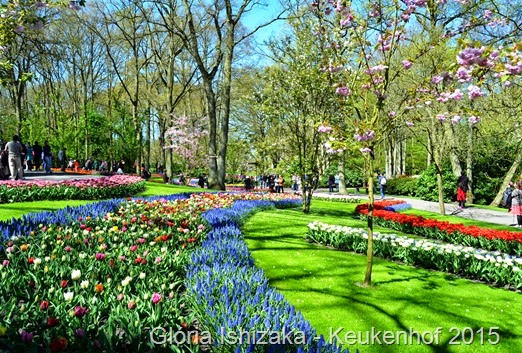 1 .Glória Ishizaka - Keukenhof 2015 - 61