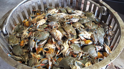 Seafood Market «Bill Forrest Seafood», reviews and photos, 287 Messick Rd, Poquoson, VA 23662, USA