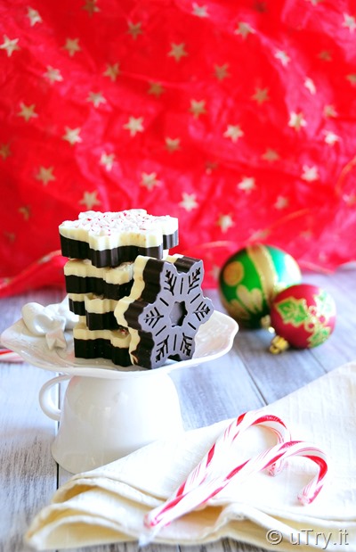 Check out how to make these festive Snowflakes Chocolate Peppermint Barks with video tutorial.  http://uTry.it