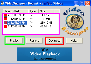 VideoSnooper