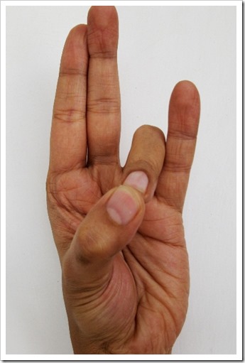 Prithvi Mudra