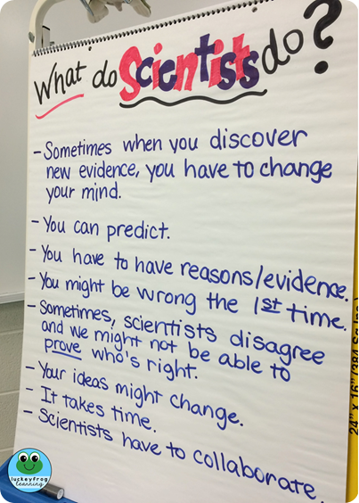 What do scientists do- anchor chart from Luckeyfrog Learning