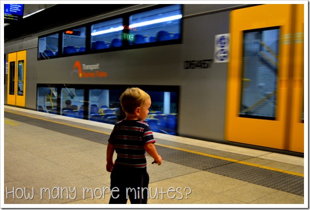Surviving public transportation in Sydney! ~ How Many More Minutes?