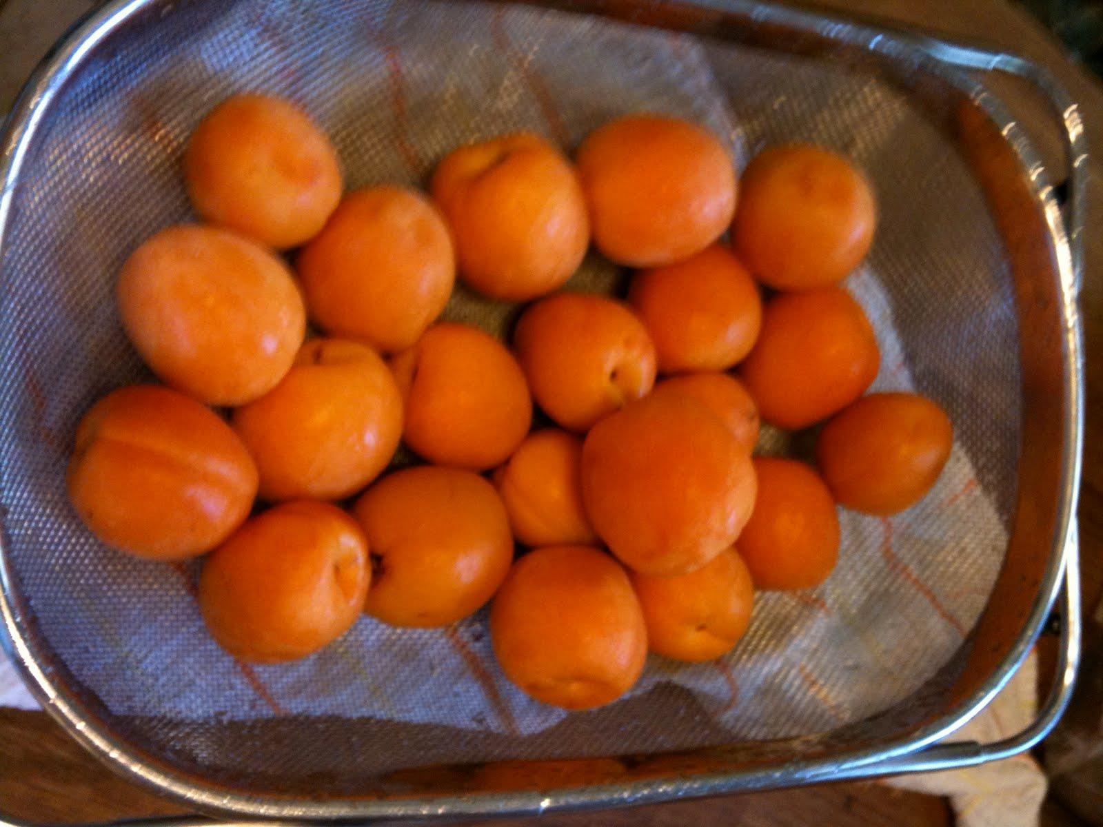 make Apricot Amaretto Pie.