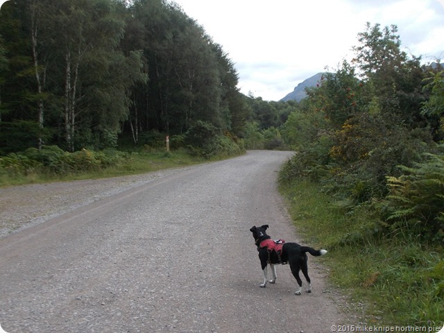 eskdale 005