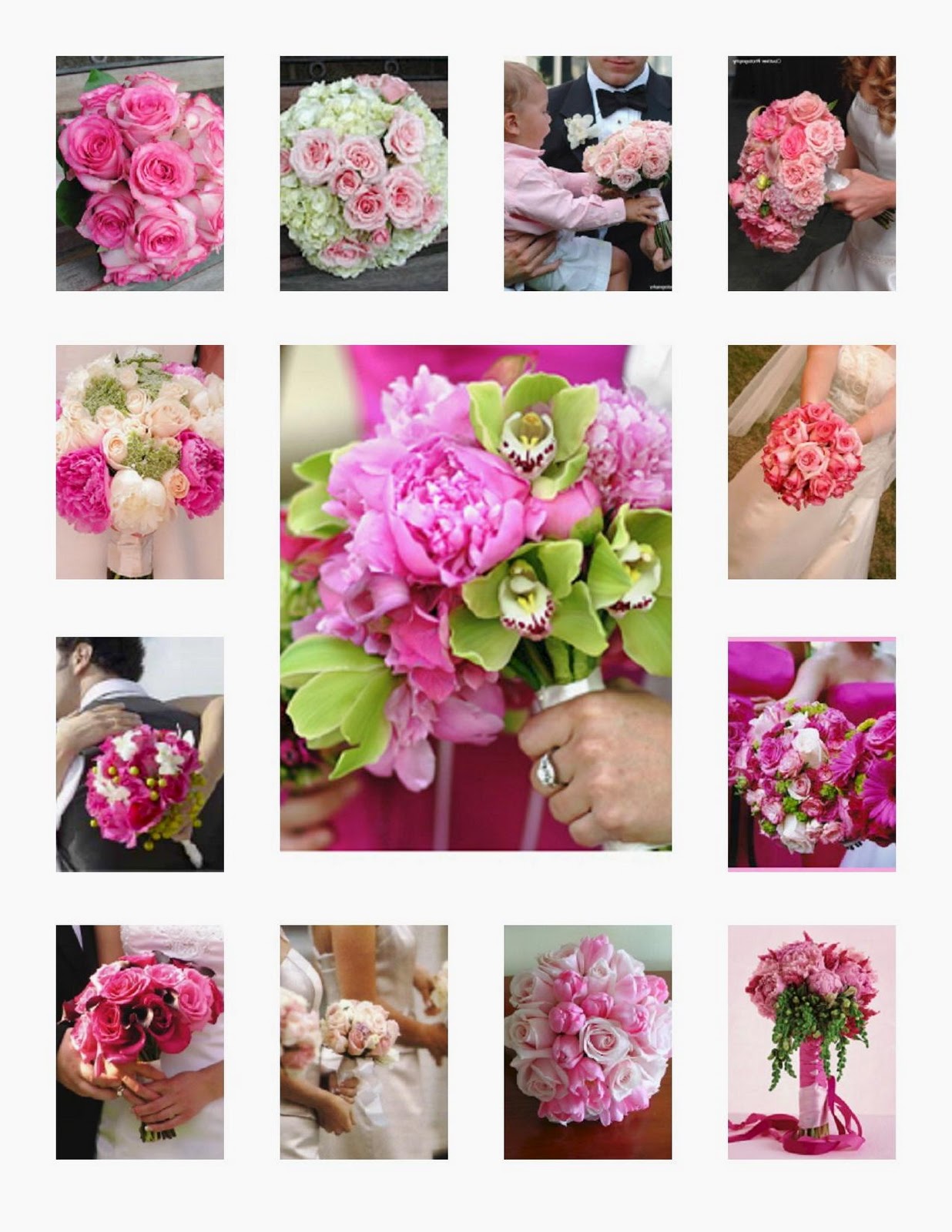 Roses:    Verdi    variegated pink
